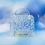Transparent Bubble Acrylic Women's Bag Acrylic Cute Designer Bags (LZ1042) 9