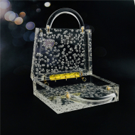 Transparent Bubble Acrylic Women's Bag Acrylic Cute Designer Bags (LZ1042) 3