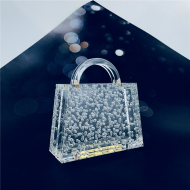Transparent Bubble Acrylic Women's Bag Acrylic Cute Designer Bags (LZ1042) 2