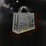 Transparent Bubble Acrylic Women's Bag Acrylic Cute Designer Bags (LZ1042) 4