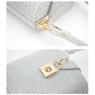 Summer Purses Women Evening Handbag Formal Purse Dress Bag (LZ0021silver) 12