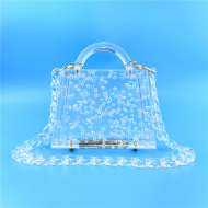 Transparent Bubble Acrylic Women's Bag Acrylic Cute Designer Bags (LZ1042) 14