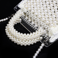 Pearl Transparent Acrylic Handbag Shoulder Luxury Ladies Bag (DG140566) 6