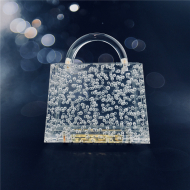 Transparent Bubble Acrylic Women's Bag Acrylic Cute Designer Bags (LZ1042) 1